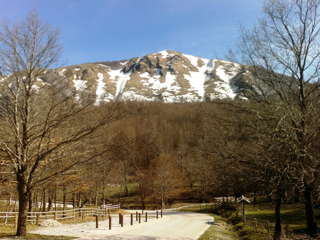 Parc national de l'Apennin lucanien-Val d'Agri-Lagonegrese, Italie