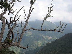 parque nacional montes blue y de john crow