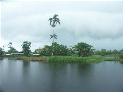 Royal Palm Reserve