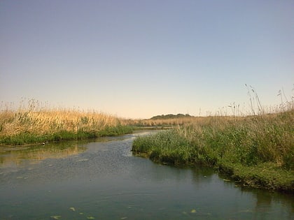 Rezerwat bagna Al-Azrak