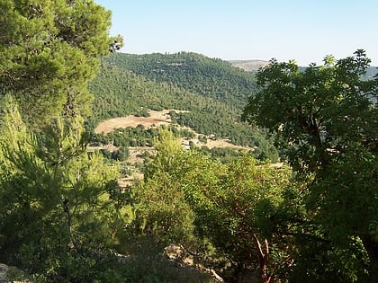 Ajloun Forest Reserve
