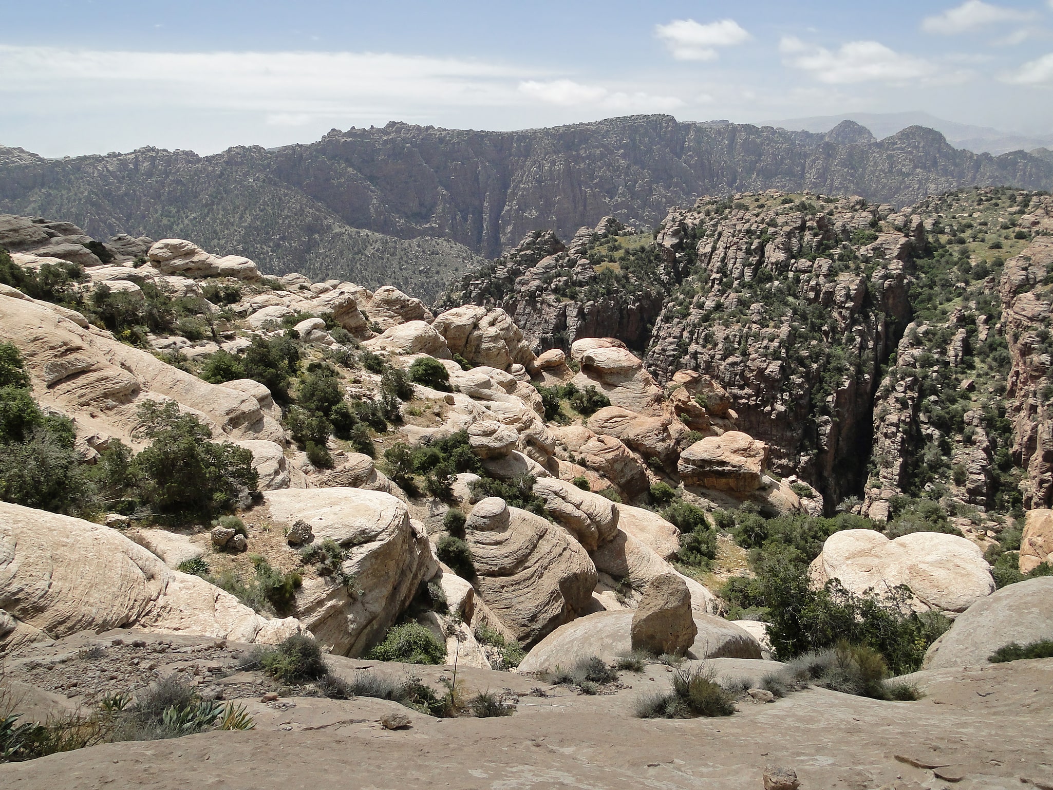 Rezerwat biosfery Dana, Jordania