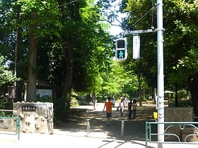Shakujii Park