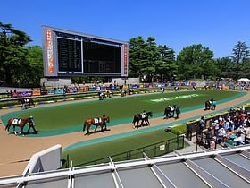 Pferderennbahn Tokio