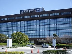 Collège dentaire de Tokyo
