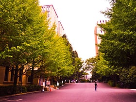 Uniwersytet Waseda