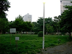 Park Kamezuka