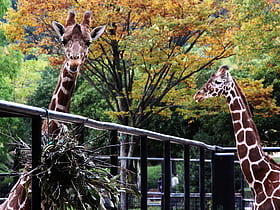 Hiroshima City Asa Zoological Park