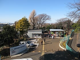 Zoo de Nogeyama