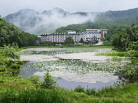 shiga kogen park narodowy joshinetsu kogen