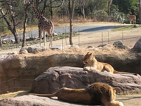 Zoo de Tennoji