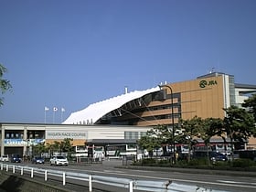 Niigata Racecourse
