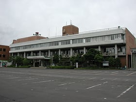 ichinohe