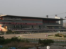 funabashi racecourse