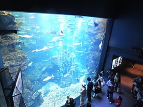 kyoto aquarium kioto