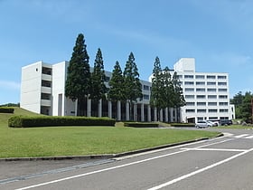 North Asia University