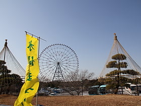 diamond and flower ferris wheel tokyo