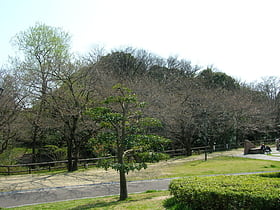 ajiyoshi futagoyama kofun nagoya