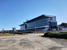 urawa racecourse saitama