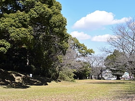 Ōtaka Castle