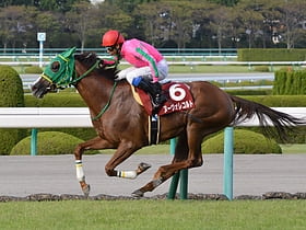 hippodrome de hanshin nishinomiya