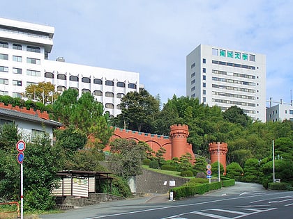 sojo university kumamoto