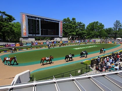 pferderennbahn tokio fuchu