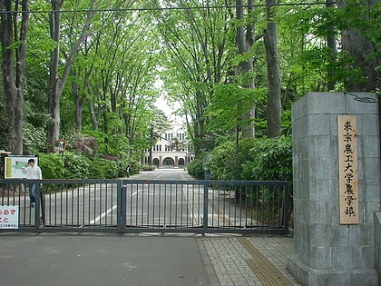 tokyo university of agriculture and technology fuchu