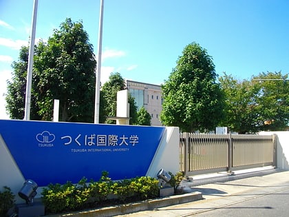 tsukuba international university tsuchiura