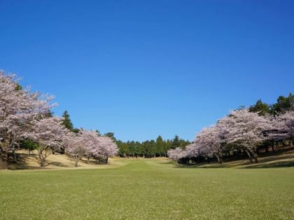 zhao jingorufukurabu numazu