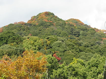 Mount Shigi