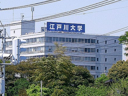 edogawa university kashiwa
