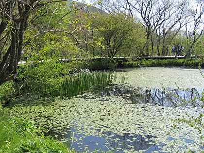 Jardín botánico de Humedales de Hakone