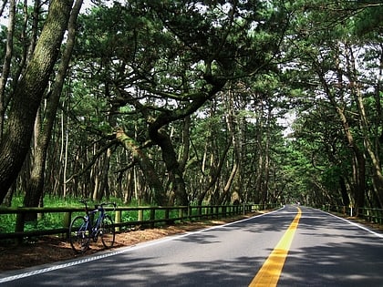 nijinomatsubara parc quasi national de genkai