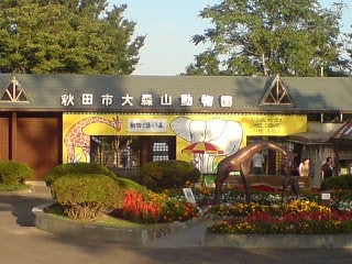 akita omoriyama zoo