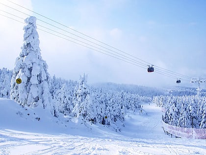 zao ropeway parc quasi national de zao