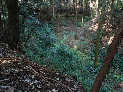 Suwahara Castle