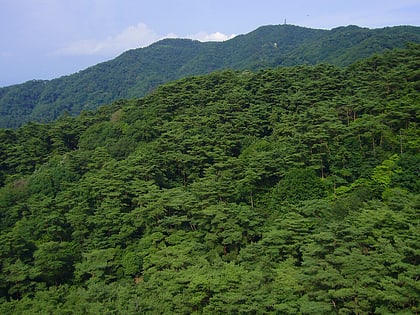 mount rokko kobe