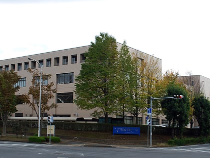tsukuba gakuin university