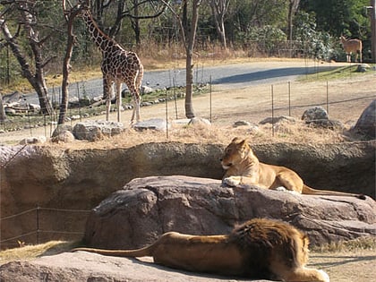 Zoo de Tennoji