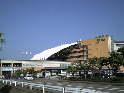 niigata racecourse