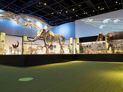 toyohashi museum of natural history
