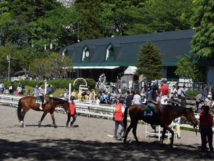 equine museum of japan yokohama