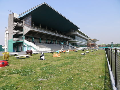 nagoya racecourse nagoja