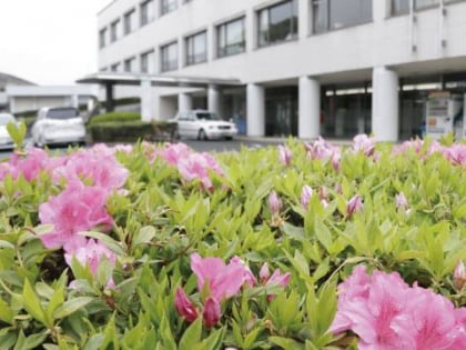 okagaki quasi park narodowy genkai