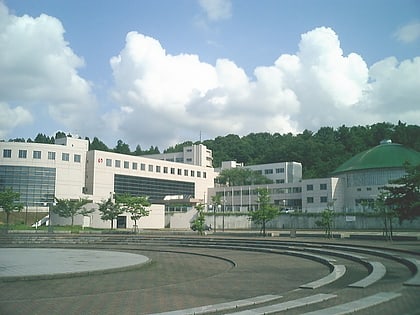 universidad de nagaoka