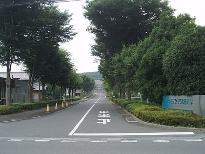 Saitama Women's Junior College
