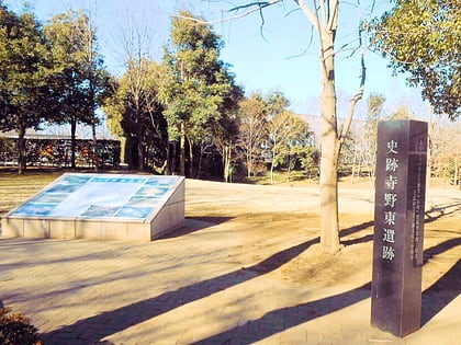 Teranohigashi Site