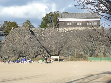 Castillo de Kameyama