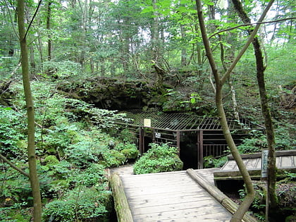 lake sai bat cave fujikawaguchiko